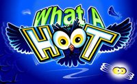 What A Hoot Crazy Owl Themed Slots Online
