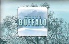 White Buffalo Slots