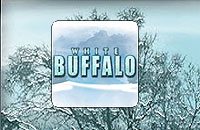 Play White Buffalo Slots for 1000 Credit Win!