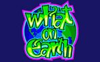 what-on-earth