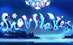 Snowflakes Slots Online