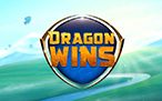 Dragon Wins Slot