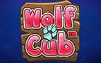 Wolf Cub Best Slots Bonus Game