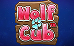 Wolf Cub Slots Bonus Game